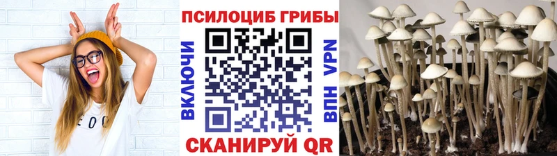 Купить закладки  Мегион  Псилоцибиновые грибы ЛСД 