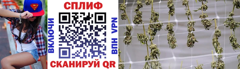Купить где  Мегион  Бошки марихуана марихуана 